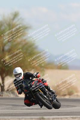 media/Oct-13-2025-Moto Forza (Mon) [[a66d839500]]/3-B Group/Session 4 Turn 4 Tree of Life/